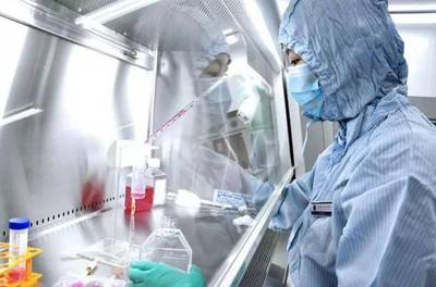 孵化器里誕生新成果 開發區又添兩家市級高新技術企業，深耕細胞技術研發與應用
