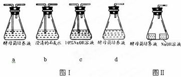 基因工程與植物細胞工程的核心技術(shù)及應用